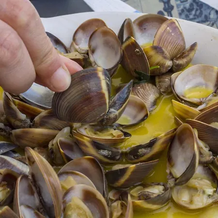 A68 - Palmeiras Paz *